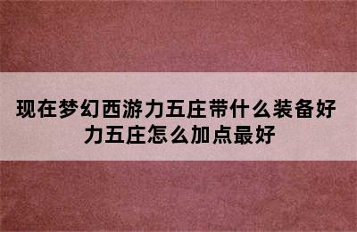 现在梦幻西游力五庄带什么装备好 力五庄怎么加点最好